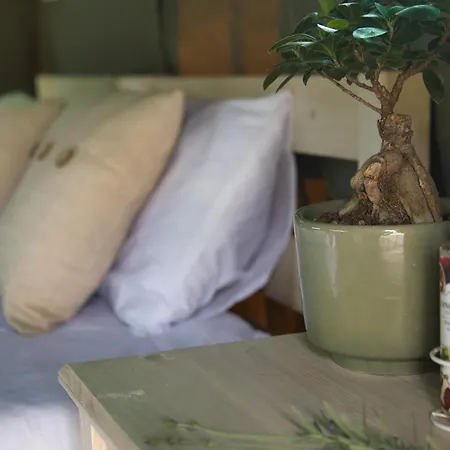 Safari Glamping Portugal Shark