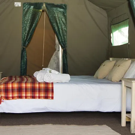 Lyxtält Safari Glamping Portugal Shark