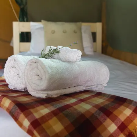 Safari Glamping Portugal Shark Ventosa (Braga)