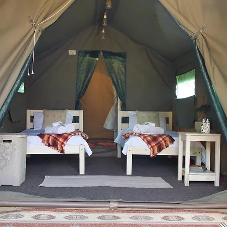 Safari Glamping Portugal Shark *