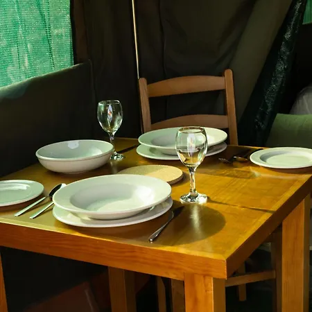 Safari Glamping Portugal Shark *