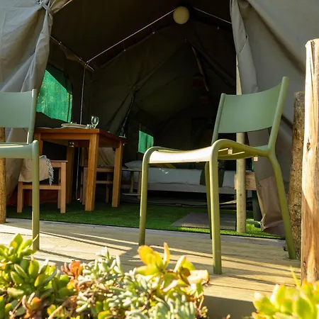 Safari Glamping Portugal Shark *