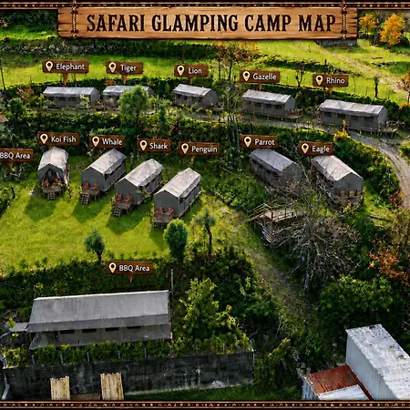 Safari Glamping Portugal Shark Lyxtält