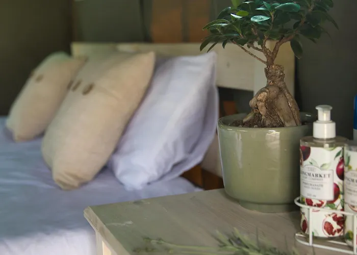 Safari Glamping Portugal Shark