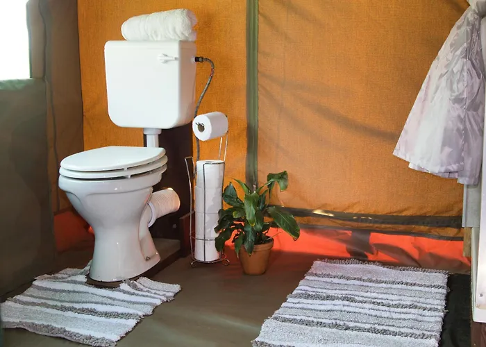 Safari Glamping Portugal Shark *