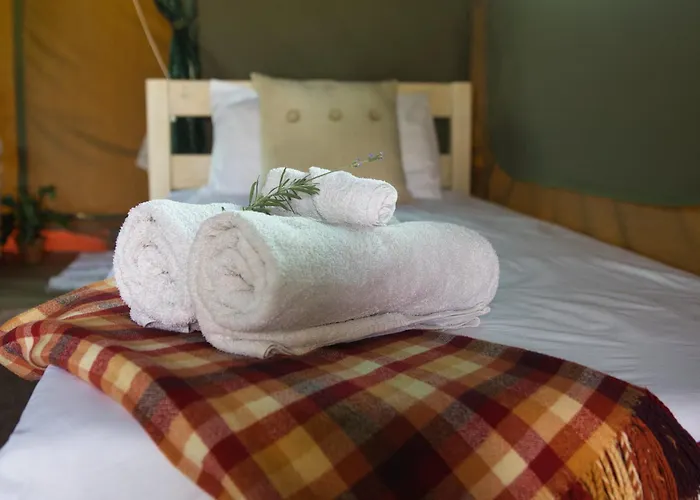 Safari Glamping Portugal Shark Ventosa (Braga)