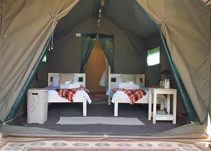 Safari Glamping Portugal Shark *