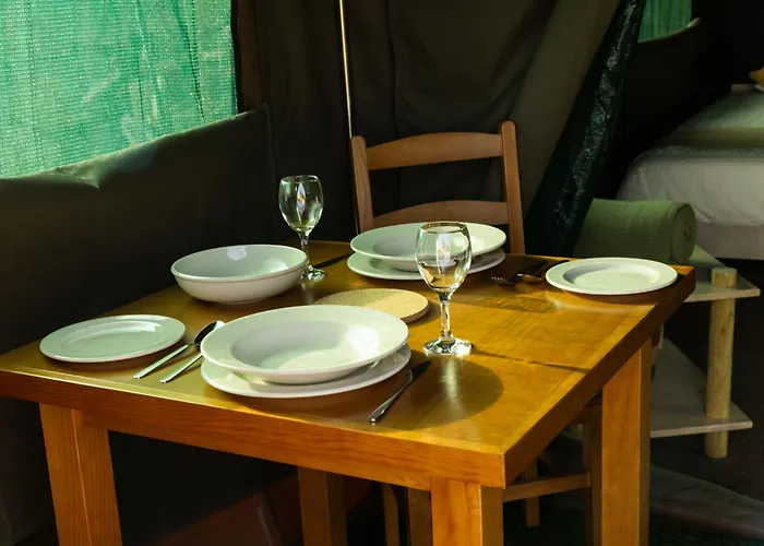 Safari Glamping Portugal Shark *